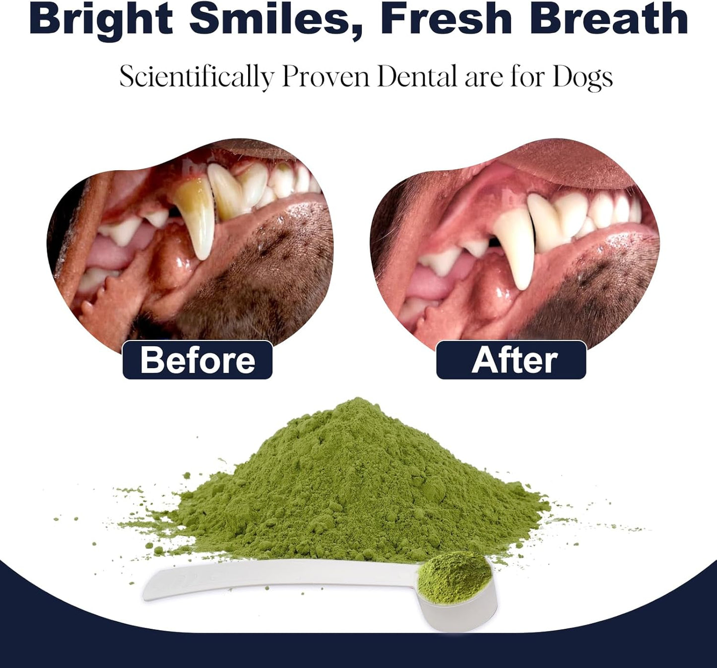 Dog Breath Freshener – Plaque & Tartar Remover Powder with Probiotics & Herbs – Teeth Cleaning & Oral Care – Chicken or Bacon Flavor - 45 & 75 Scoops (3.1 Ounce (Pack of 1), Bacon)