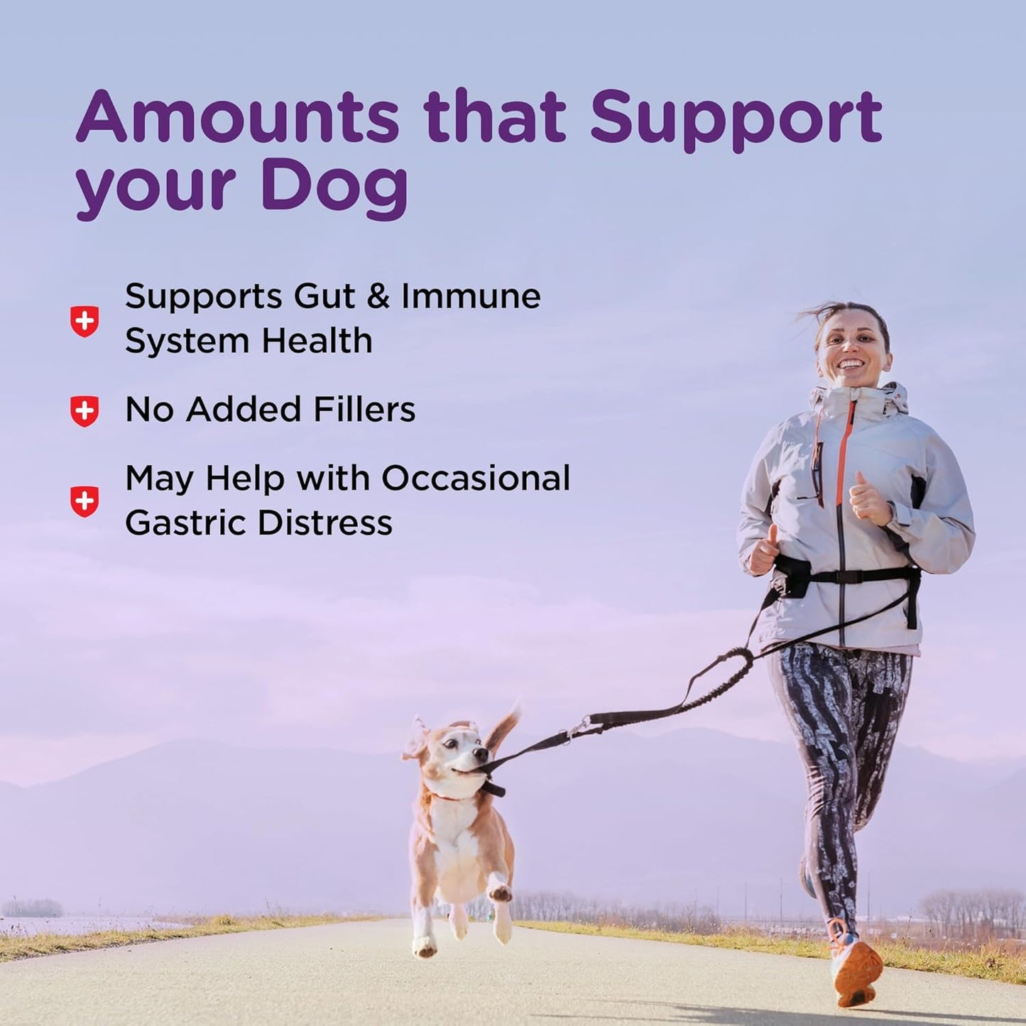 Pre & Probiotics for Dogs, Digestive Support, Upset Stomach, Puppy Probiotic, Pet Vitamins and Supplements, Dog Probiotics, Liver & Cheese Flavor, 120 Soft Chews