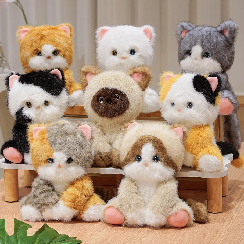 Cute Cartoon Cat Plush Dolls 24Cm Devon Rex Siamese Black Cat Soft Sleep Toy Cute Kids Birthday Gift Decorative Accompany Toy