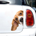 Car Sticker Beagle Dog Pet Animal Waterproof Vinyl Decal Car Accessories Decor Pegatinas Para Coche