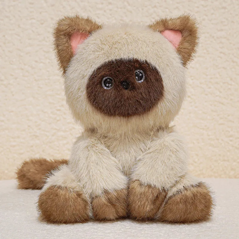 Cute Cartoon Cat Plush Dolls 24Cm Devon Rex Siamese Black Cat Soft Sleep Toy Cute Kids Birthday Gift Decorative Accompany Toy