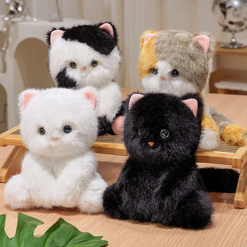 Cute Cartoon Cat Plush Dolls 24Cm Devon Rex Siamese Black Cat Soft Sleep Toy Cute Kids Birthday Gift Decorative Accompany Toy