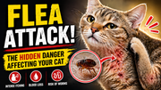 Why Fleas Are More Dangerous Than You Think
