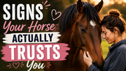 Signs Your Horse Actually Trusts You
