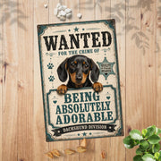 Limited Edition Dachshund Theme Portrait Metal Sign 7793