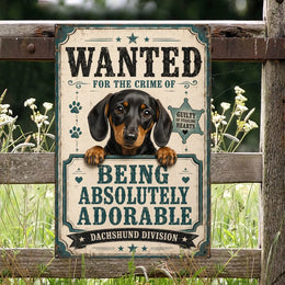 Limited Edition Dachshund Theme Portrait Metal Sign 7793
