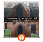 HERCULES – EQUINE MUSCLE FUNCTION & CONSTRUCTION