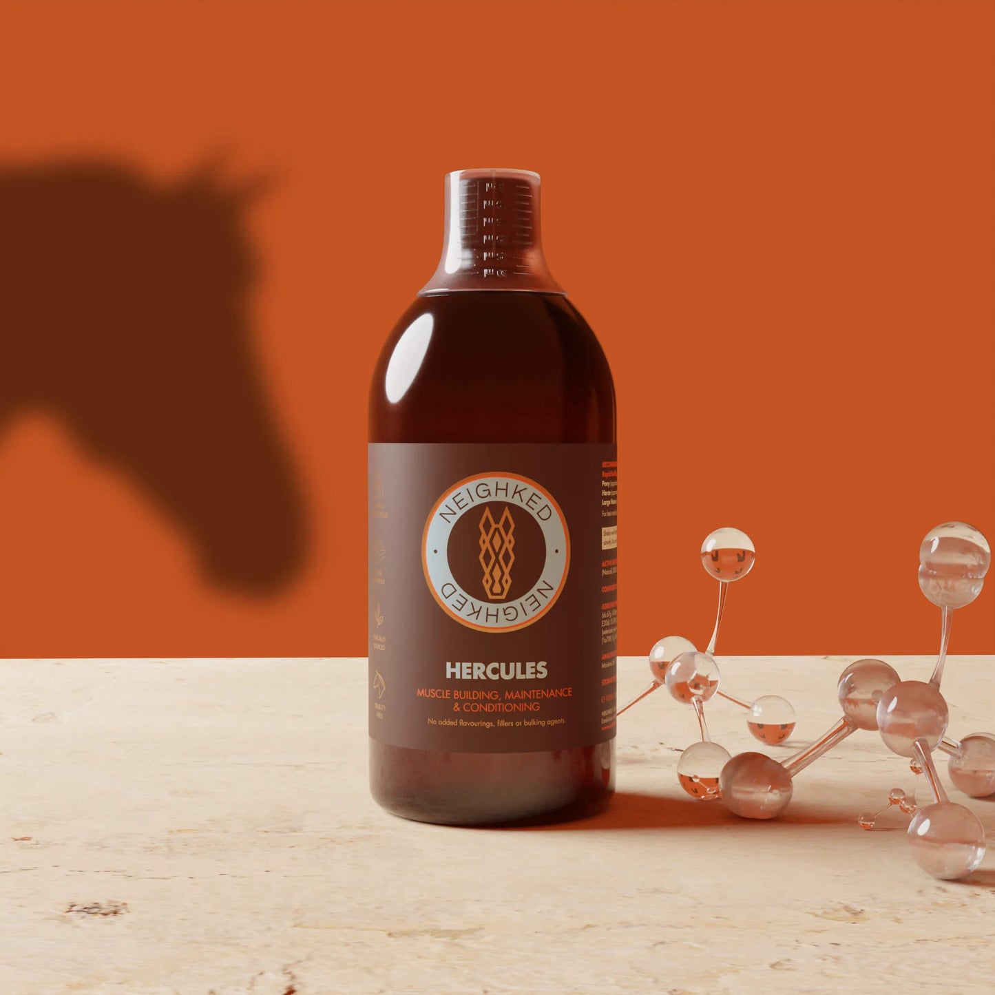 HERCULES – EQUINE MUSCLE FUNCTION & CONSTRUCTION