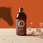 HERCULES – EQUINE MUSCLE FUNCTION & CONSTRUCTION