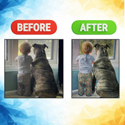 Custom Oil Painting – Hand-Painted from Your Photo