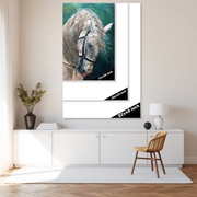 Ethereal Elegance: A White Horse Portrait in Motion