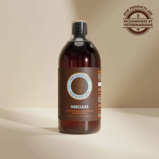HERCULES – EQUINE MUSCLE FUNCTION & CONSTRUCTION