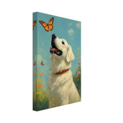 65e78709-b89a-4fff-bacd-53af18f97bbf