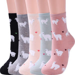 Women'S Cat Socks Cat Gifts Cute Animal Socks Dog Owl Gifts for Women