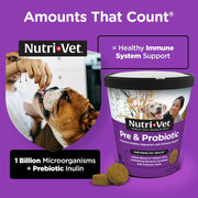 Pre & Probiotics for Dogs, Digestive Support, Upset Stomach, Puppy Probiotic, Pet Vitamins and Supplements, Dog Probiotics, Liver & Cheese Flavor, 120 Soft Chews