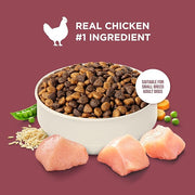 Nutrish Rachael Ray Dry Dog Food Small Breed Real Chicken & Veggies Recipe, 5, 13 lb. Bag