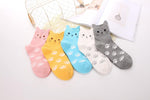 Women'S Cat Socks Cat Gifts Cute Animal Socks Dog Owl Gifts for Women