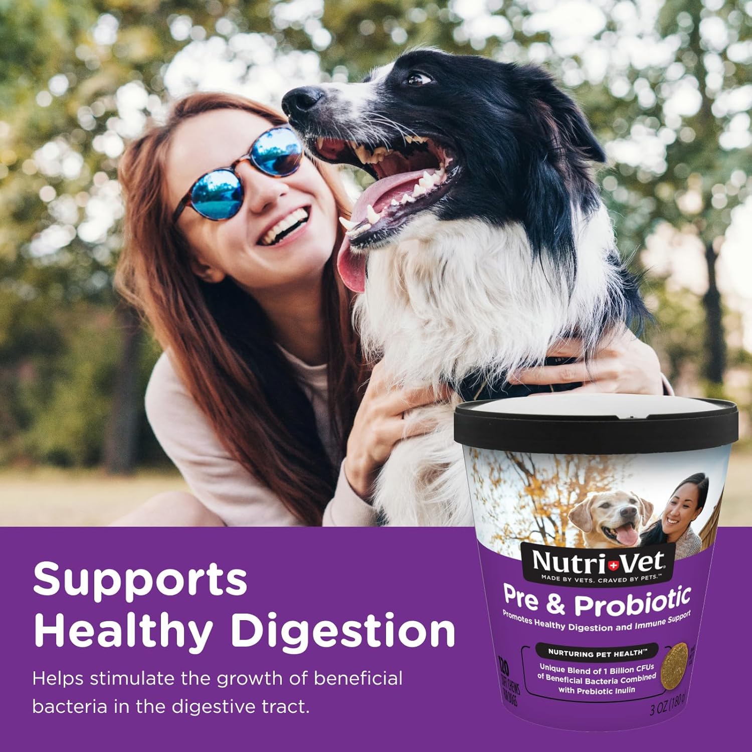 Pre & Probiotics for Dogs, Digestive Support, Upset Stomach, Puppy Probiotic, Pet Vitamins and Supplements, Dog Probiotics, Liver & Cheese Flavor, 120 Soft Chews