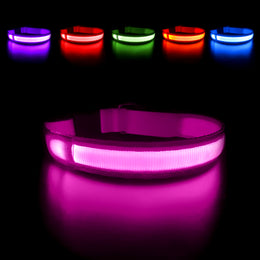 Dog Collar Luminous Pet Supplies Dog Collar Waterpoof Safety Collars Dropship
