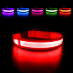 Dog Collar Luminous Pet Supplies Dog Collar Waterpoof Safety Collars Dropship