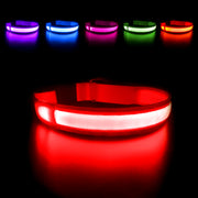 Dog Collar Luminous Pet Supplies Dog Collar Waterpoof Safety Collars Dropship