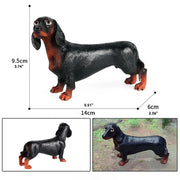 Miniature Schnauzer Dog Animal Action Figure French Bulldog Corgi Poodle Golden Retriever Samoyed Model Figurines Pet Puppy Toy